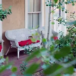 Palomas Santa Fe